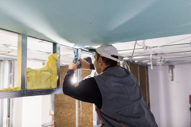 Best Insulation Installation Services in Bunker Hl, IL